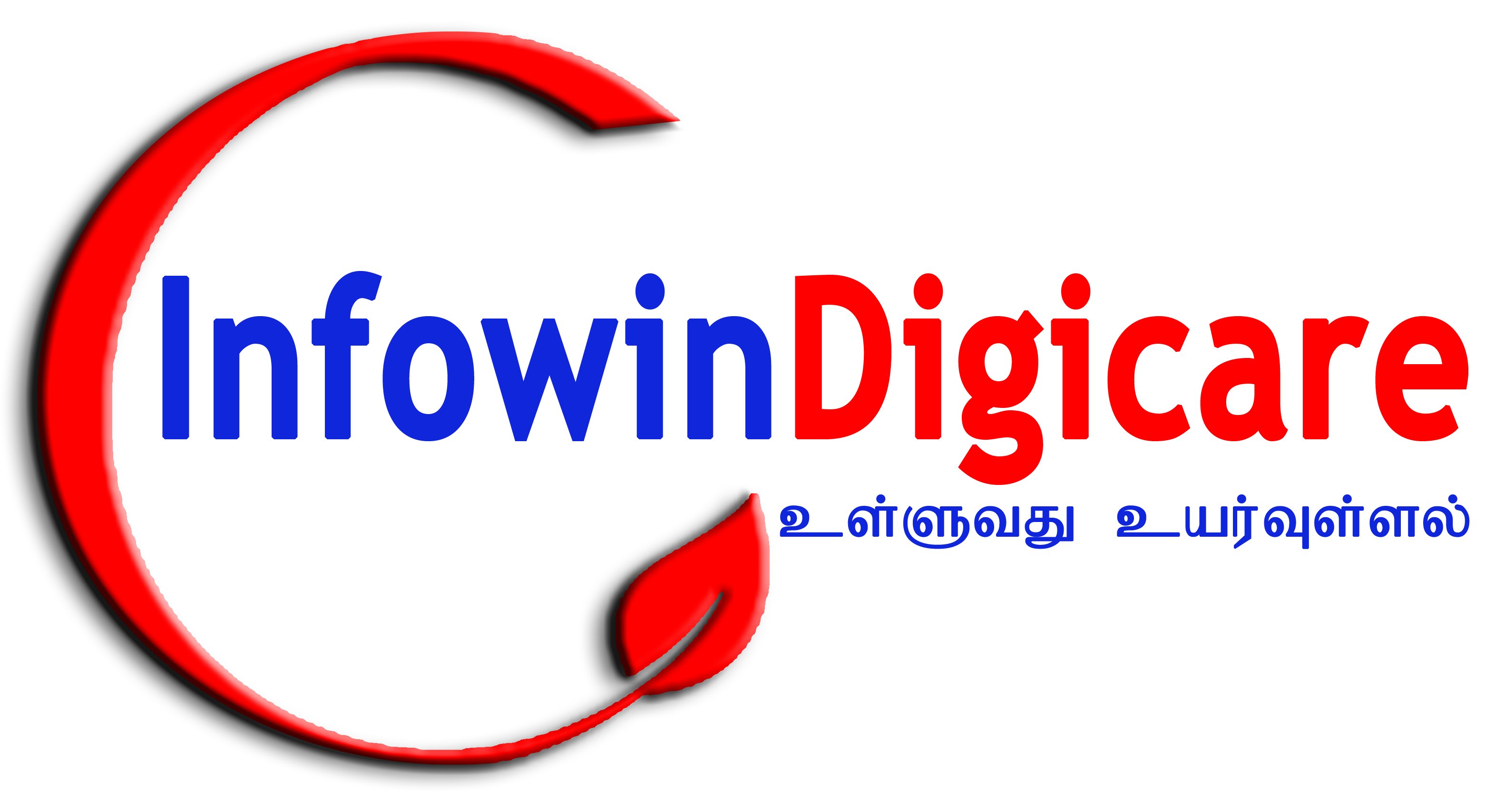 Infowin Digicare Pvt Ltd Logo